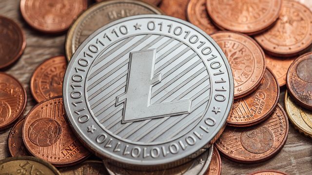 Close-up of a physical Litecoin coin — Osmosis proposes burning 17.4 million OSMO from its community pool