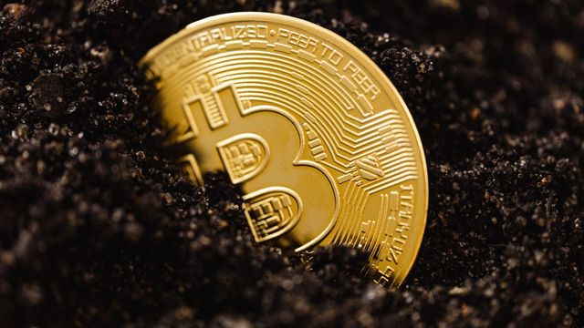 Green-lit crypto coins in close-up — trading meme and newly created tokens on FOMO with 10% off fees