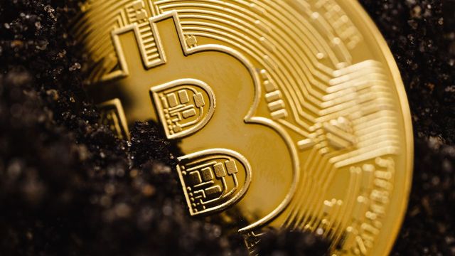 Bitcoin coins on a sparkling gold surface — LTC holding its higher low inside the bull flag