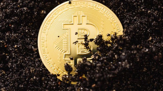 A gold Bitcoin coin partially buried in dark soil — Crypto Millionaire's free daily crypto slot payout