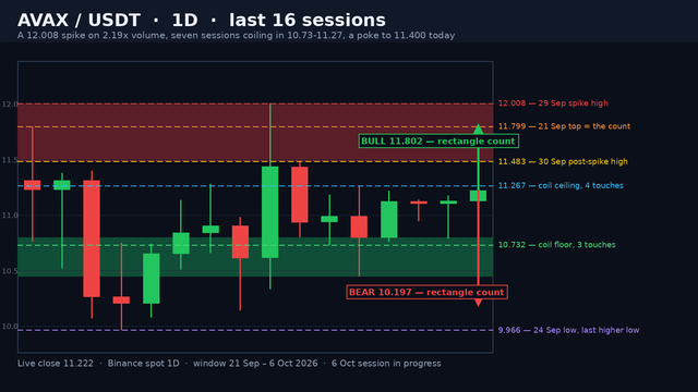 AVAX/USDT daily candlestick chart on a dark background: the 12.008 spike candle on 2.19x volume, the shaded 11.483-12.008 supply band, the shaded 10.450-10.800 coil floor band, the seven-session coil below the spike, dashed levels at 12.008, 11.799, 11.483, 11.267, 10.732 and 9.966, a price ladder and green and red projection arrows.